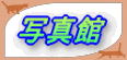 ʐ^